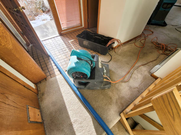 Best Water damage cleanup near me  in Lambert, MS