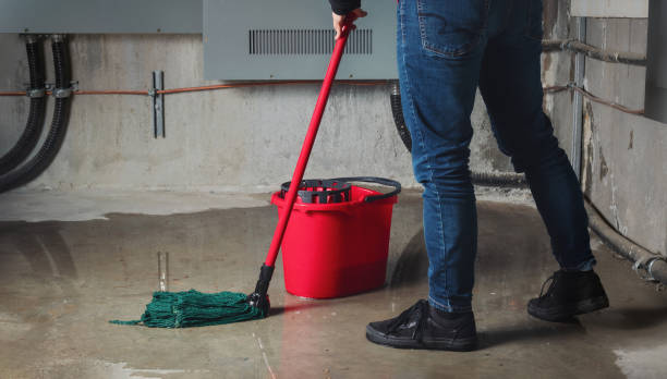 Best Commercial water damage restoration  in Lambert, MS