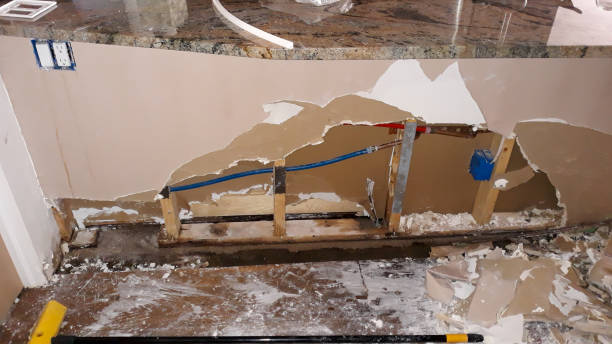 Best Ceiling water damage repair  in Lambert, MS