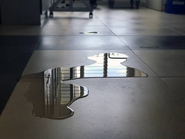 Water damage restoration experts in MS