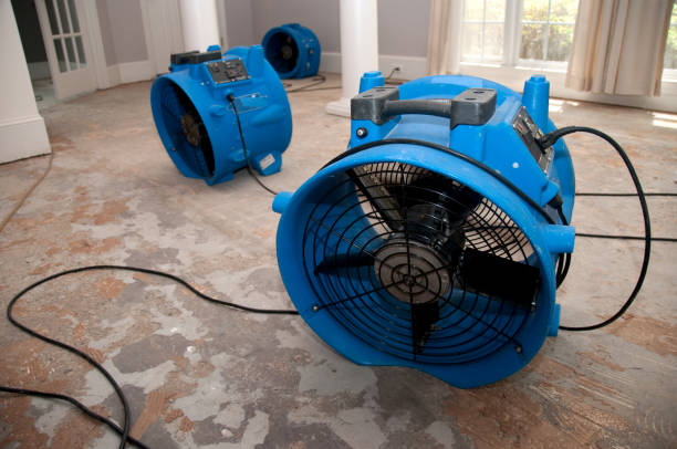 Best Water damage restoration services  in Lambert, MS