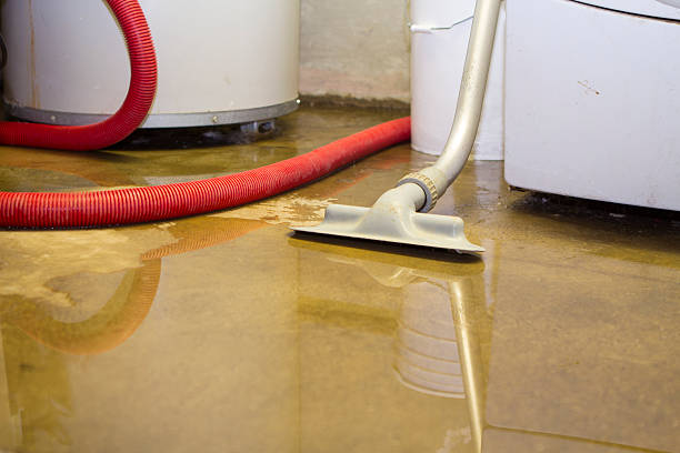 Trusted MS Water damage restoration Experts