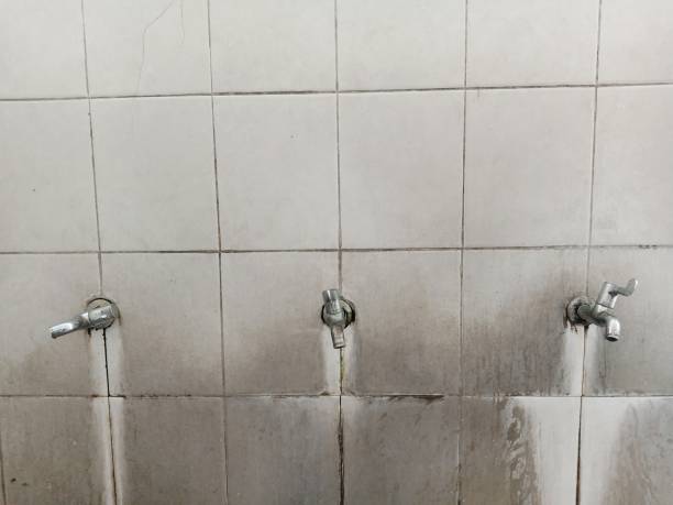 Best Sewage cleanup and water damage restoration  in Lambert, MS